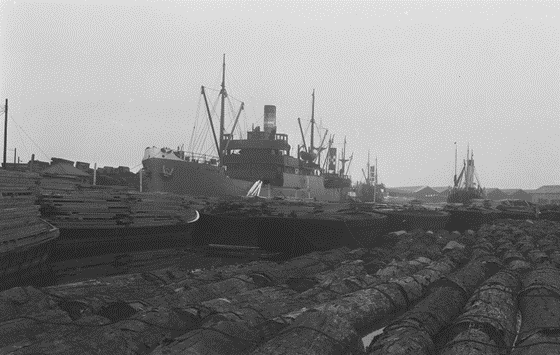 Surrey Docks, Stave Dock 1930.  X..png