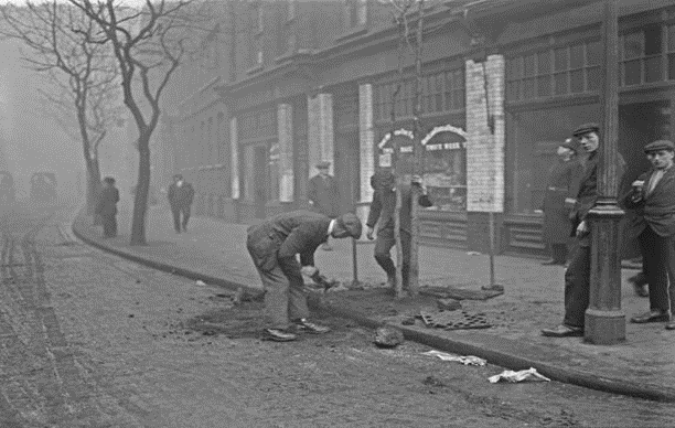 Tooley Street, tree planting c1920.  X..png