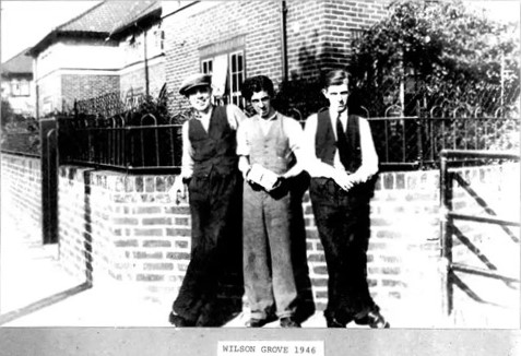 WILSON GROVE 1946. 1  .jpg