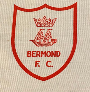 Hawkstone Road, Bermond FC.    X..png