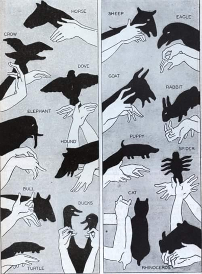 Images On the Wall. Great Fun When We Had Gaslight, We Were Easily Pleased in those days,  X...png
