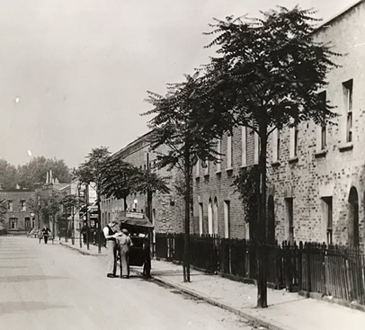 Silwood Street c1935. Ailanthus Trees, also known as the tree-of-Heaven. X..png