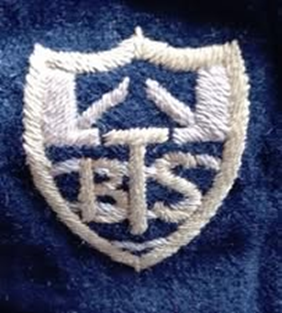 Tower Bridge School.  X..png