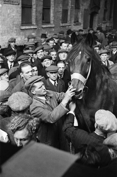 New Kent Road, Horse Auction,c1947. X.jpg