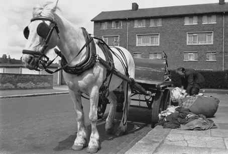 REMEMBER THE RAG & BONE MAN.  X.png