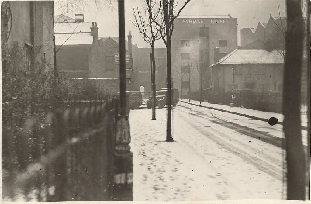 B0733SnowyWilsonGrove-1945.jpg