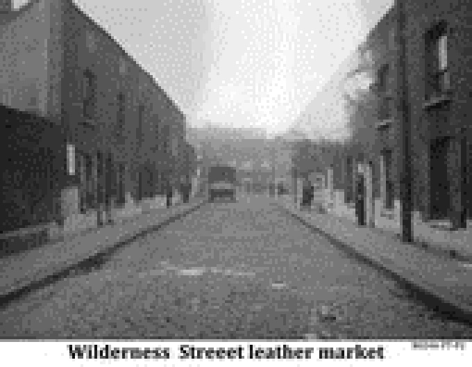 Wilderness Street.jpg