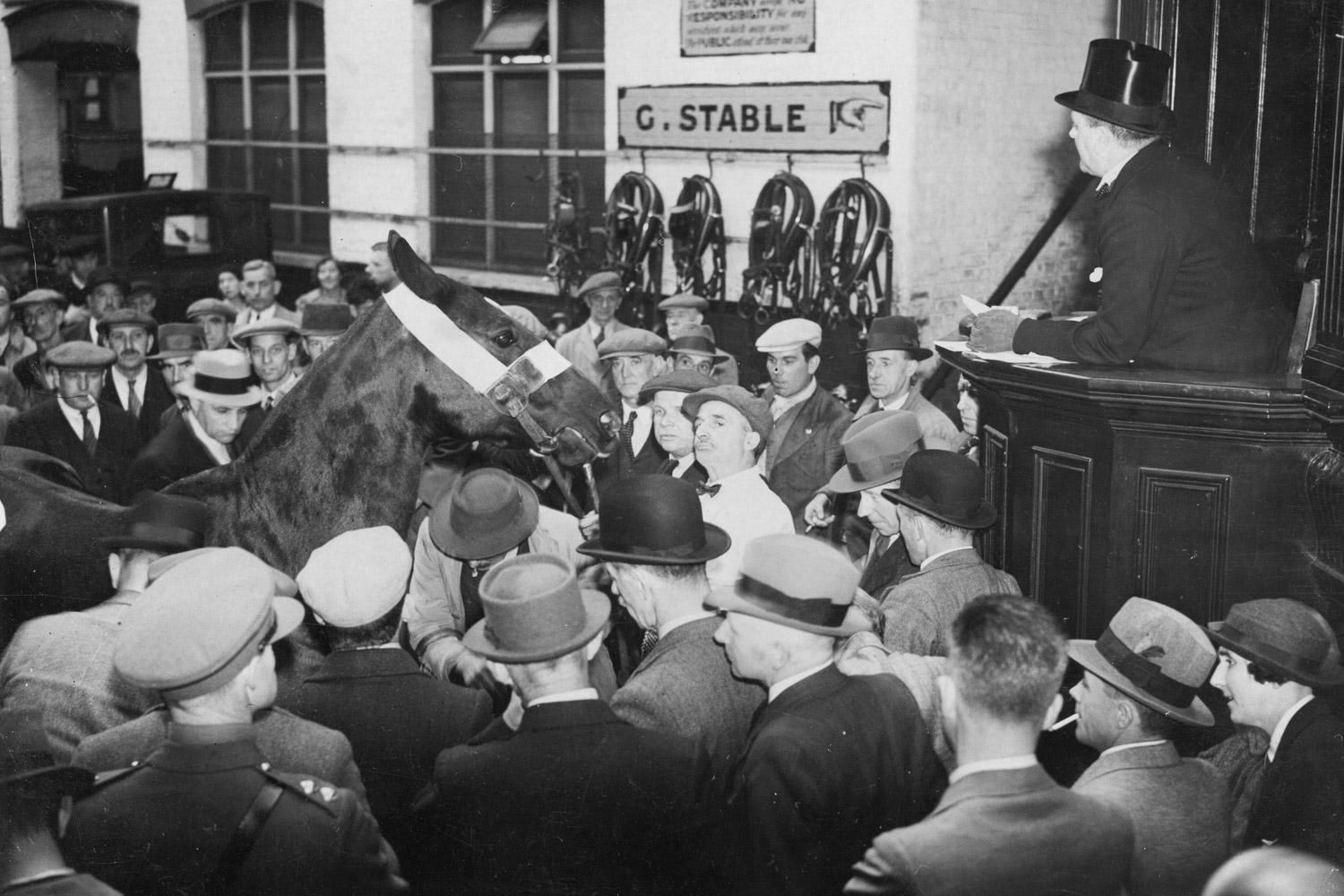 New Kent Road 1937, an auction of army horses in progress at the Elephant and Castle Horse Repository. at 16-18 New Kent Road, where the shopping centre stands today..jpg