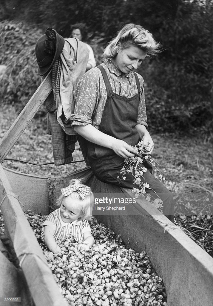 Mrs Rolls of Rotherhithe, London, keeps her eye on her little daughter Maureen while working in the hop fields. 12th September 1945.jpg