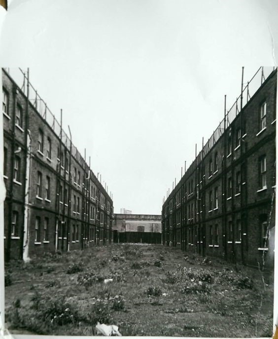 Trundleys Road,the Backs of  Folkestone Gardens.jpg