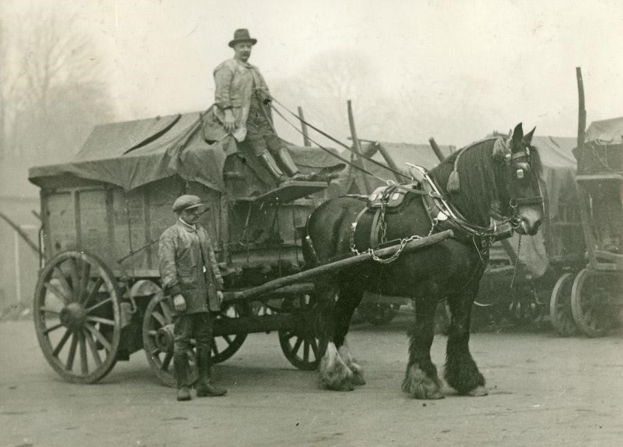 Camberwell Borough Council,the last horse, March 1933.jpg