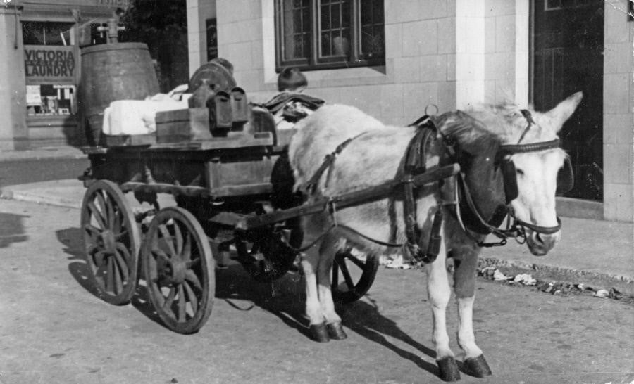 St James' Road,1939. Vinegar and salt seller's donkey barrow outside the 'Gregorian Arms' public house, St James' Road. X.jpg