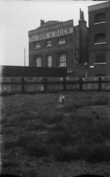 Dog and Duck 1931.jpg