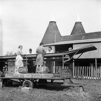 Hop pickers in Yalding, Kent, 1952.  X.png