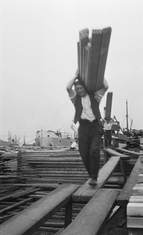 Surrey Docks, Timber porters carrying deals along gang planks suspended over stacks, on 3td July 1929.  X.png